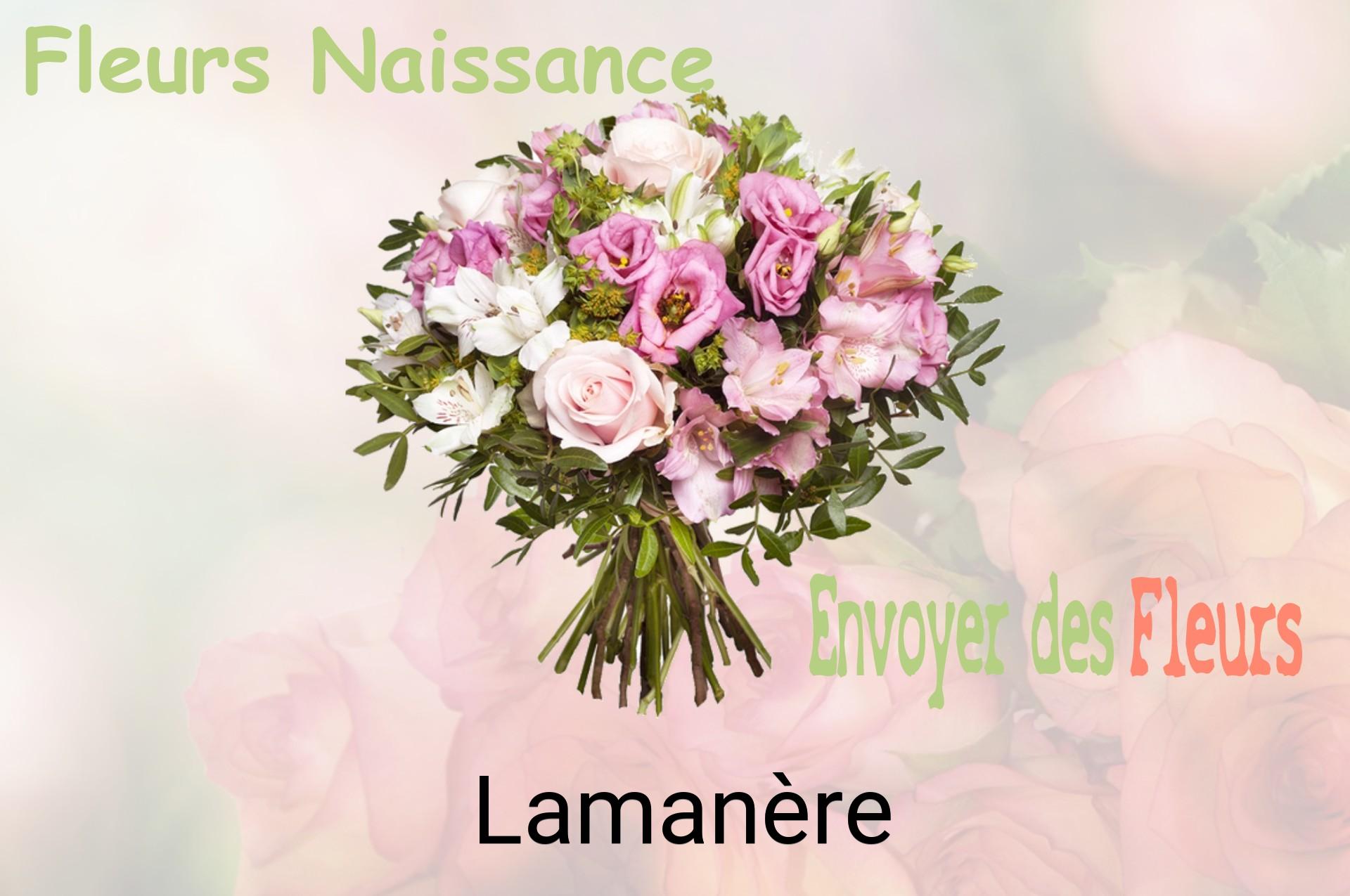 Bouquet de fleurs de naissance livré à Lamanère
