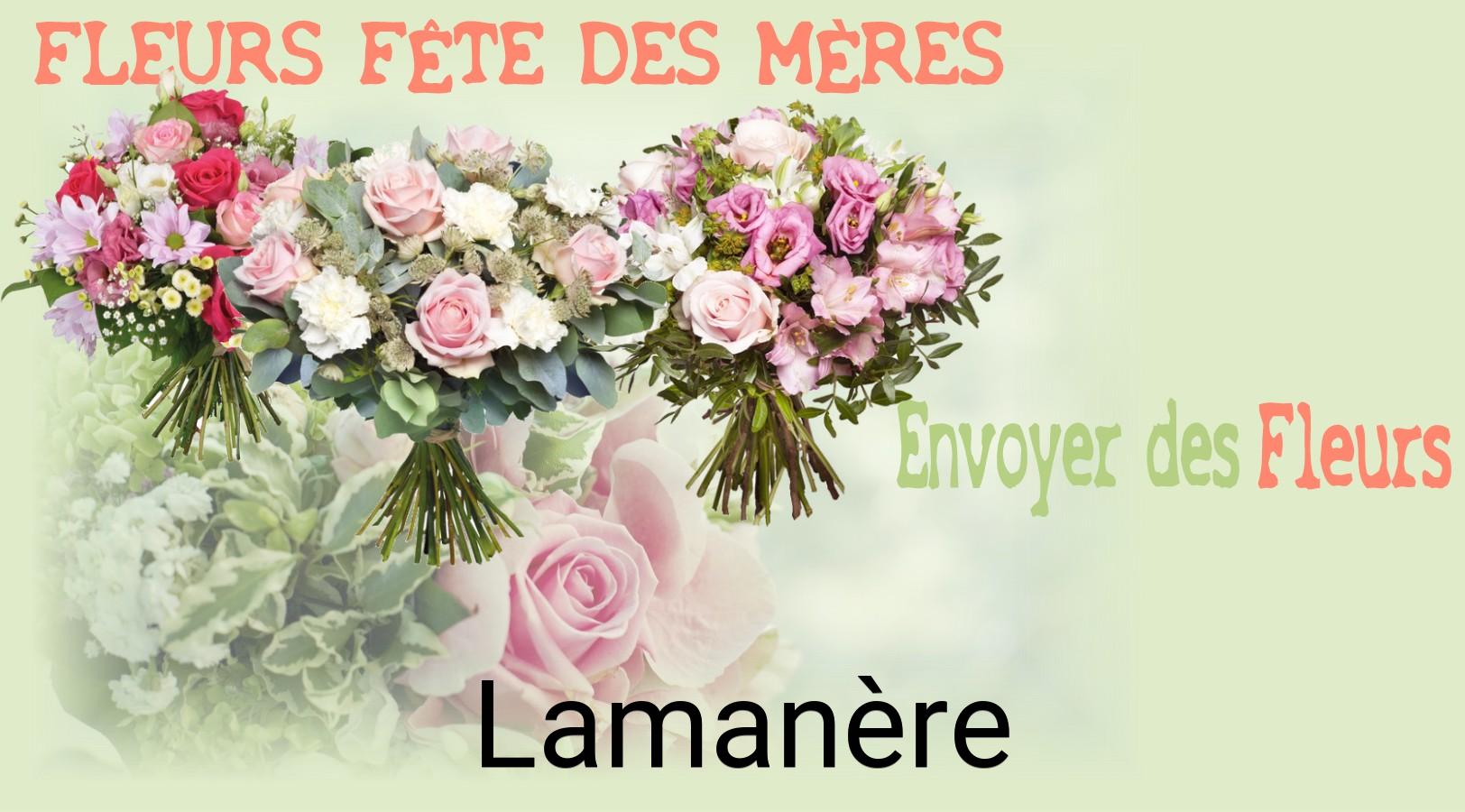 Bouquet de Fête des Mères livré à Lamanère